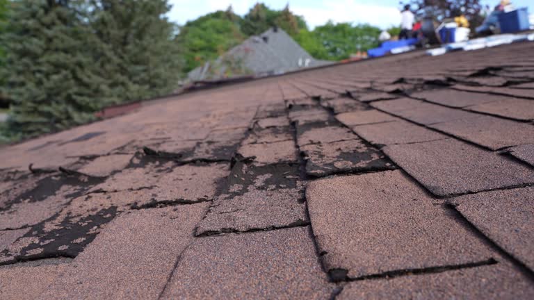 Best Cold Roofs  in Village Of Waukesha, WI