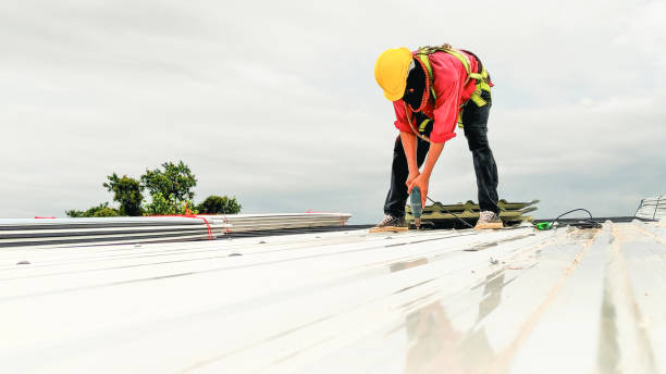 Asphalt Shingles Roofing in Village Of Waukesha, WI